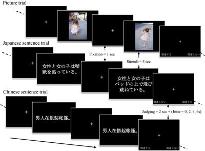 Common Neural System for Sentence and Picture Comprehension Across Languages: A Chinese–Japanese Bilingual Study